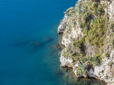 海洋景观, 岩石杂草丛生植物和海面