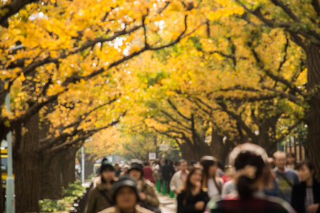 人们以模糊的风格走在银杏公园里