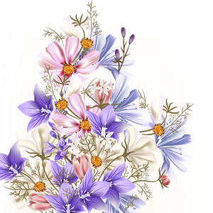 花清晰背景蓝色 粉红色 紫色矢车菊和