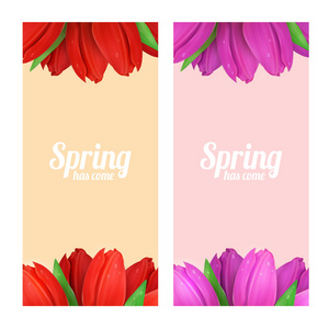 郁金香花朵组合相框图片