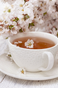 春季杯茶