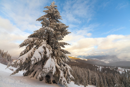 雪山。在冬天的雪下的山脉