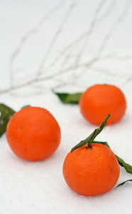 水果成分。 白色背景的橙色橘子