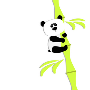 可爱的熊猫竹子