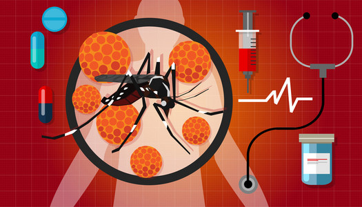 zika 主管病毒驱蚊蚊传播流行 aotubreak