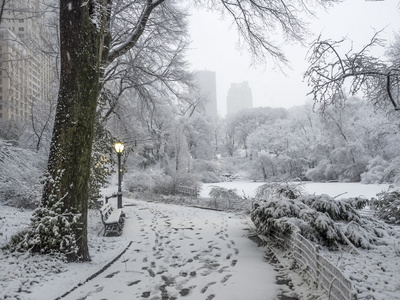 纽约中央公园，市雪风暴