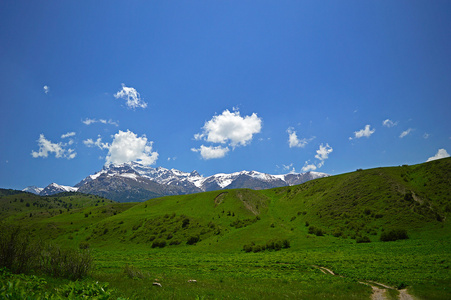 绿色草原与雪山背景