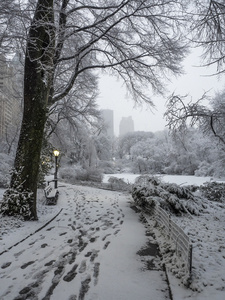 纽约中央公园，市雪风暴