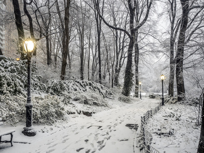 纽约中央公园，市雪风暴