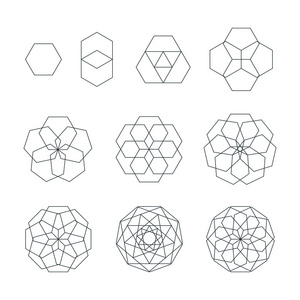 sexangle 轮廓各种神圣几何学 se