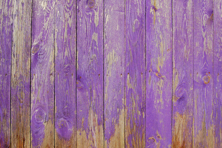 木板，栅栏的紫色紫色