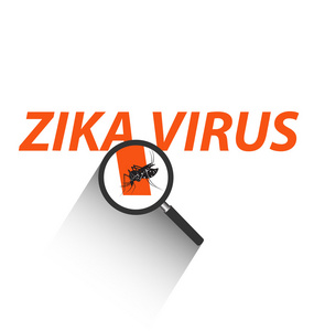 Zika 病毒文本上的放大镜