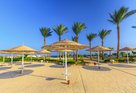 稻草伞和日光浴浴床上美妙的热带海滩