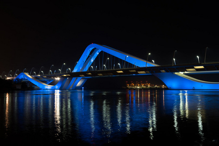谢赫  扎耶德大桥夜景