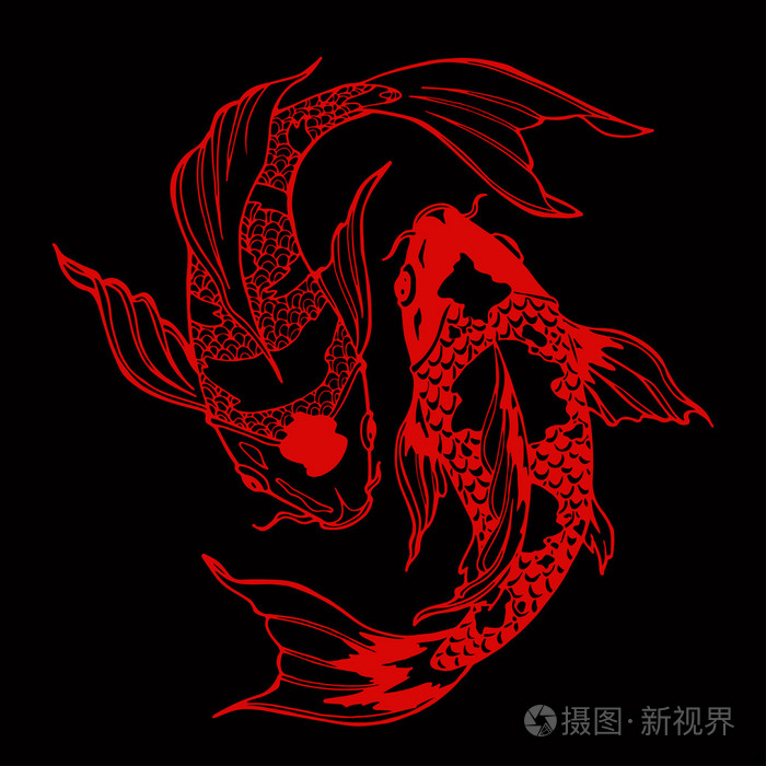 锦鲤鱼英阳符号