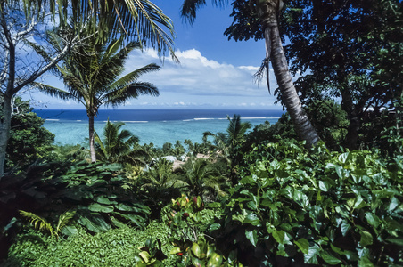 斐济群岛维提岛, 太平洋热带植被和珊瑚礁景观电影扫描