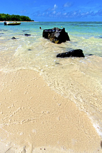 海滩桩杜塞夫海藻在印度船的天空和岩石