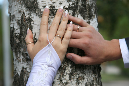 新娘和新郎表明他们戴着结婚戒指的手