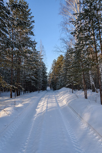 冬季森林雪路