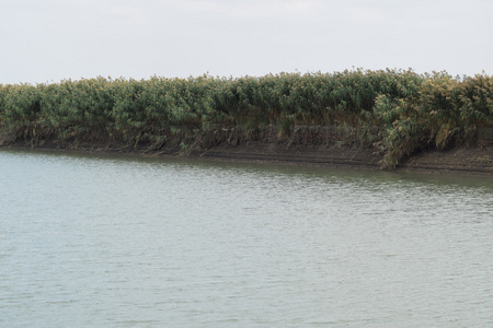 主要灌溉稻田灌溉渠道。 农业建筑。