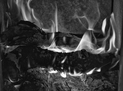 在炉中燃烧的木柴
