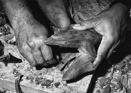 斐济群岛, 维提岛, 斐济人雕刻热带木材, 使海豚石电影扫描