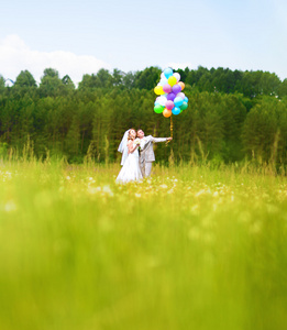 新郎和新娘与气球在绿色的原野上