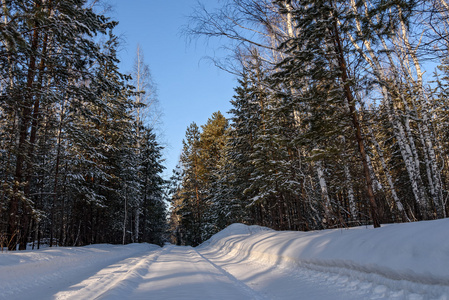 冬季森林雪路