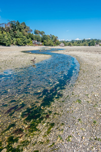 诺曼底公园流 5