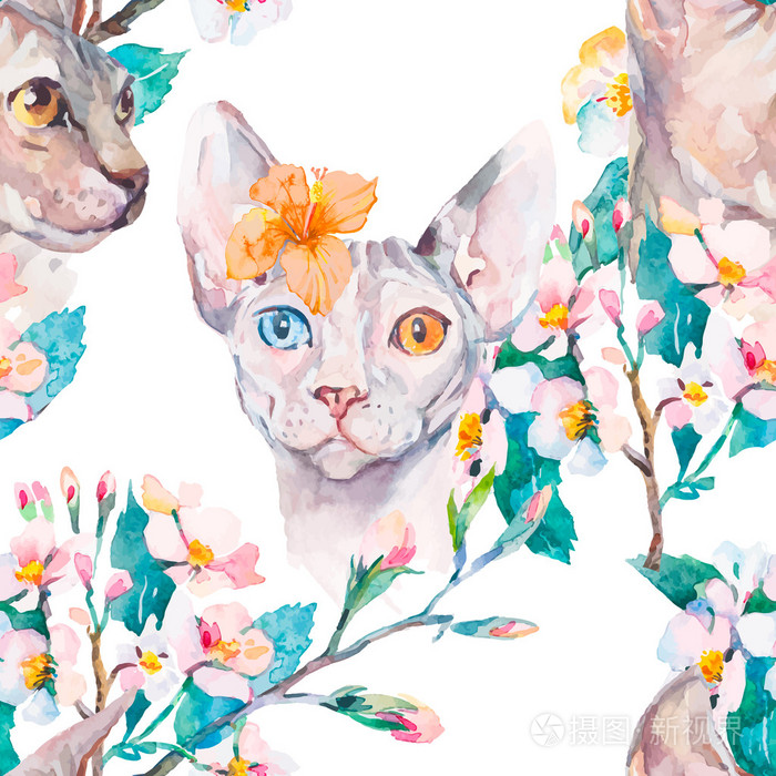 手绘图案优雅毛猫和热带花卉 时尚的猫的画像 狮身人面像 春天的模式 花枝 水彩画 矢量插画 正版商用图片1lwfma 摄图新视界
