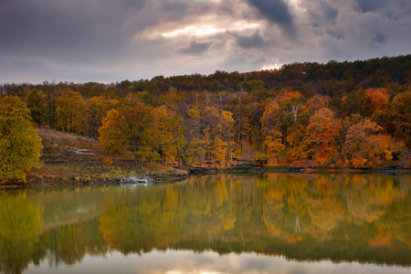 美丽的自然景观。秋高气爽的秋季森林倒映在湖