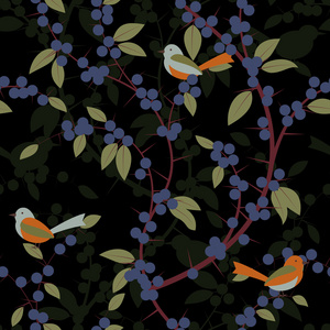 黑刺李浆果和鸟的无缝模式