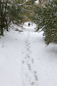 在白雪皑皑的路径上行走的人