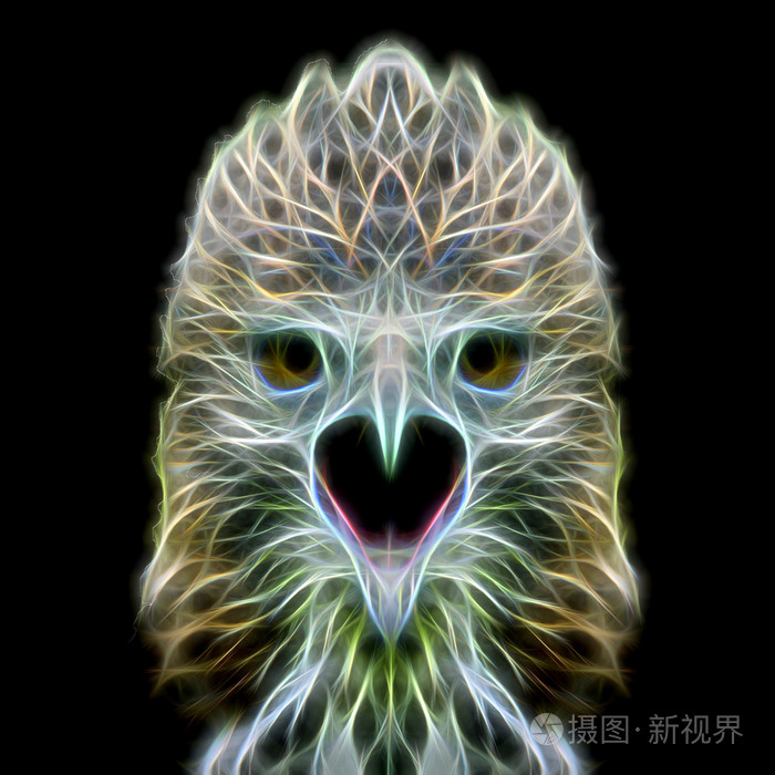 多变的鹰头的光辉形象