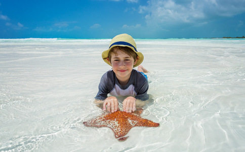 男孩和热带海滩上的海星