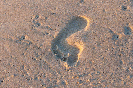 日落时沙滩上的足迹。旅游夏季概念背景