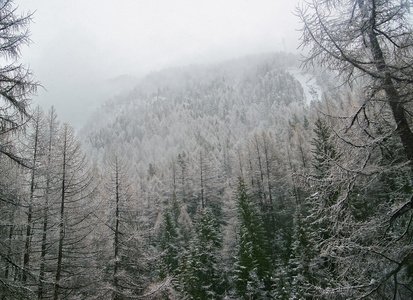 冬天, 瑞士的雪覆盖着采尔马特的雾