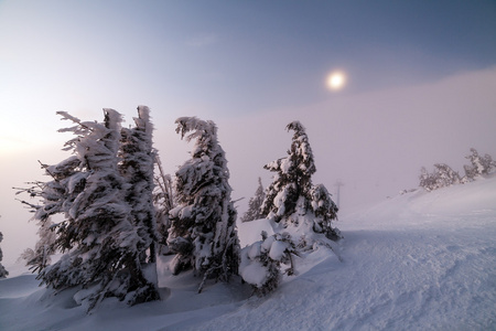 冬季景观。在山上的日出。美丽的世界。圣诞节场景。喀尔巴阡，乌克兰，欧洲