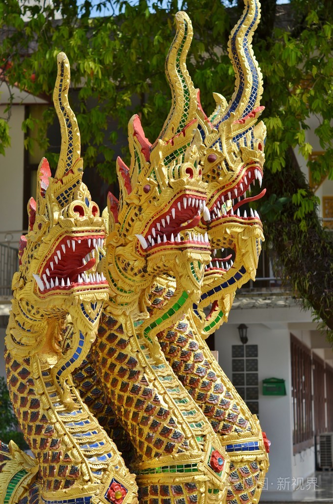 黄金半蛇半龙装饰娜迦楼梯至扫管笏wichitsangkaram普吉岛泰国