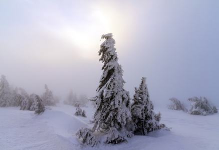 冬季景观。在山上的日出。美丽的世界。圣诞节场景。喀尔巴阡，乌克兰，欧洲
