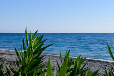 海洋海岸线的焦点