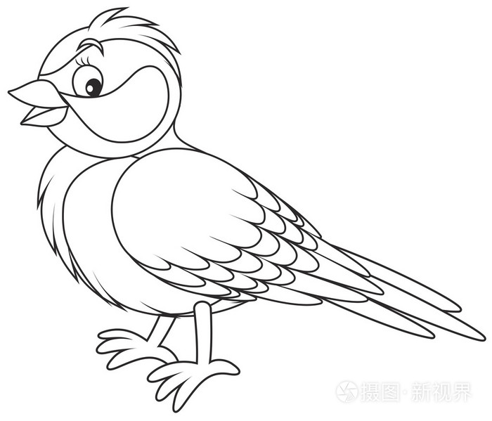 在白色背景上的山雀插画-正版商用图片1lx17c-摄图新视界