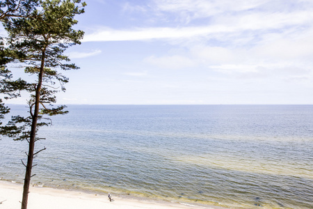 夏季波罗的海全景