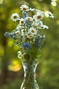 野花和 chamomiles 在玻璃花瓶里