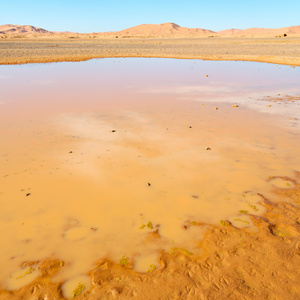 摩洛哥沙子和沙丘湖黄色沙漠中的阳光