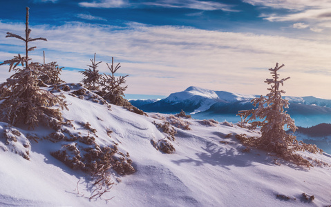 山山顶覆盖着新鲜的雪