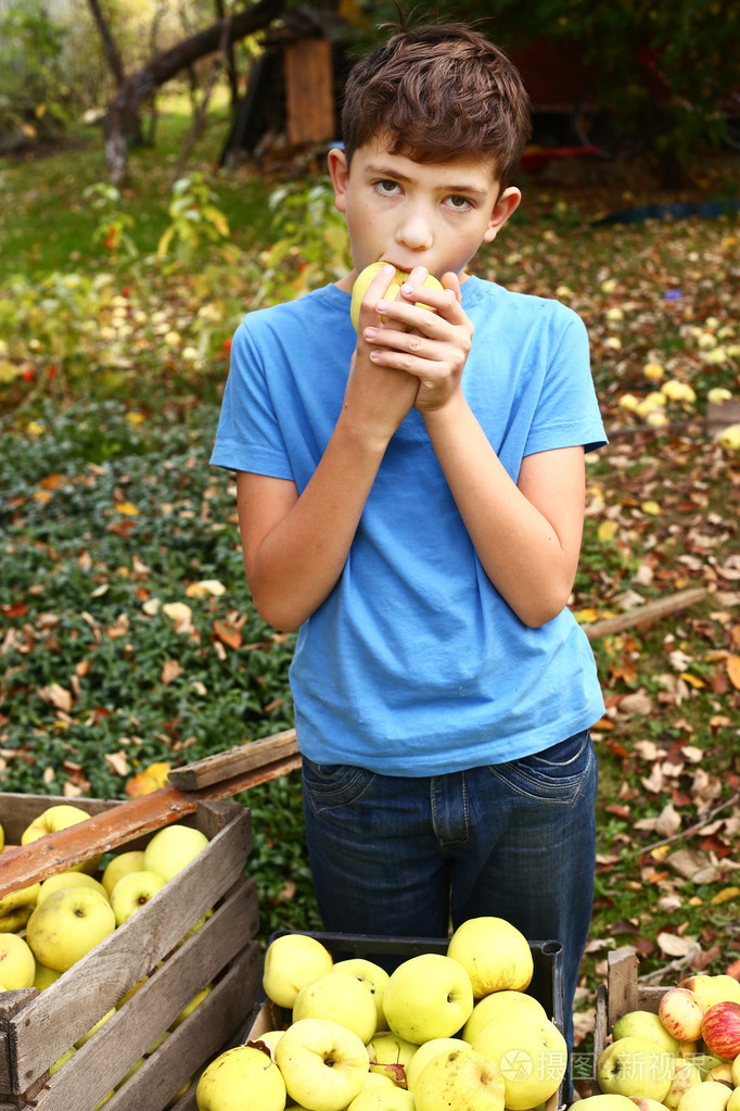 快乐的青春期男孩从树上摘苹果