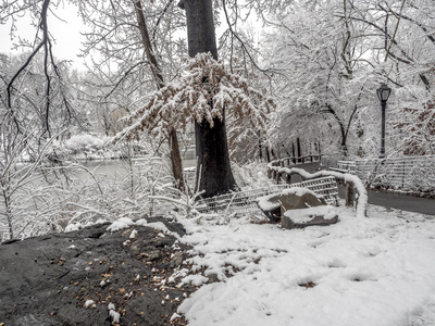 暴雪在曼哈顿中央公园纽约城