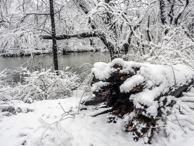 暴雪在曼哈顿中央公园纽约城