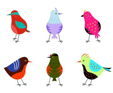颜色鲜艳的鸟集